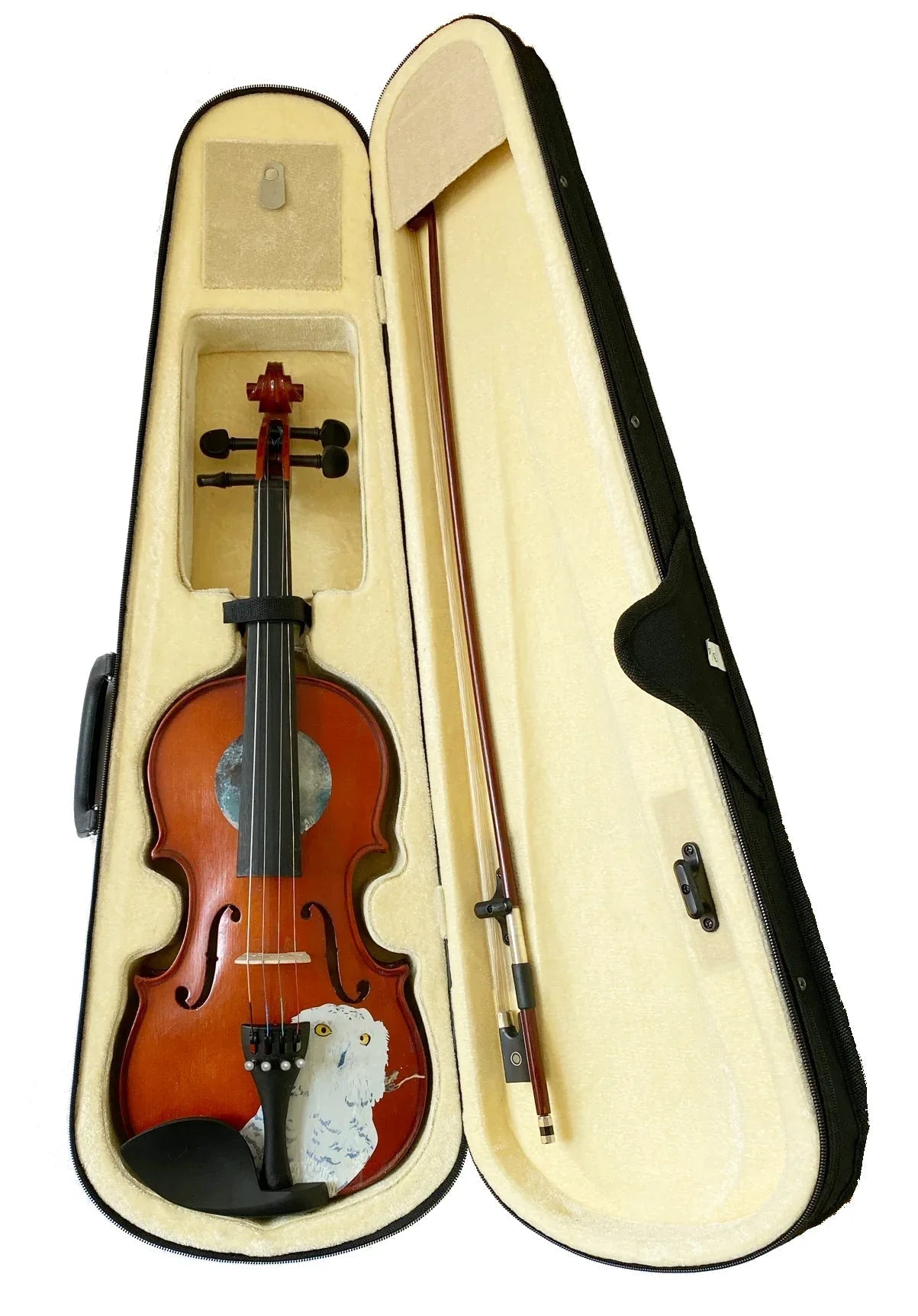 Rozanna's Violins Mystic Owl Violin Outfit