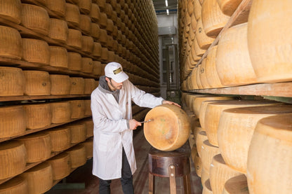 Fresh Grated Parmigiano Reggiano DOP Mitica® 24 months
