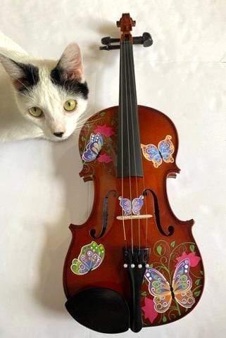 Rozanna's Butterfly Dream Viola Outfit | Butterfly & Flower Viola with Crystal Fine Tuners, Bow & Case
