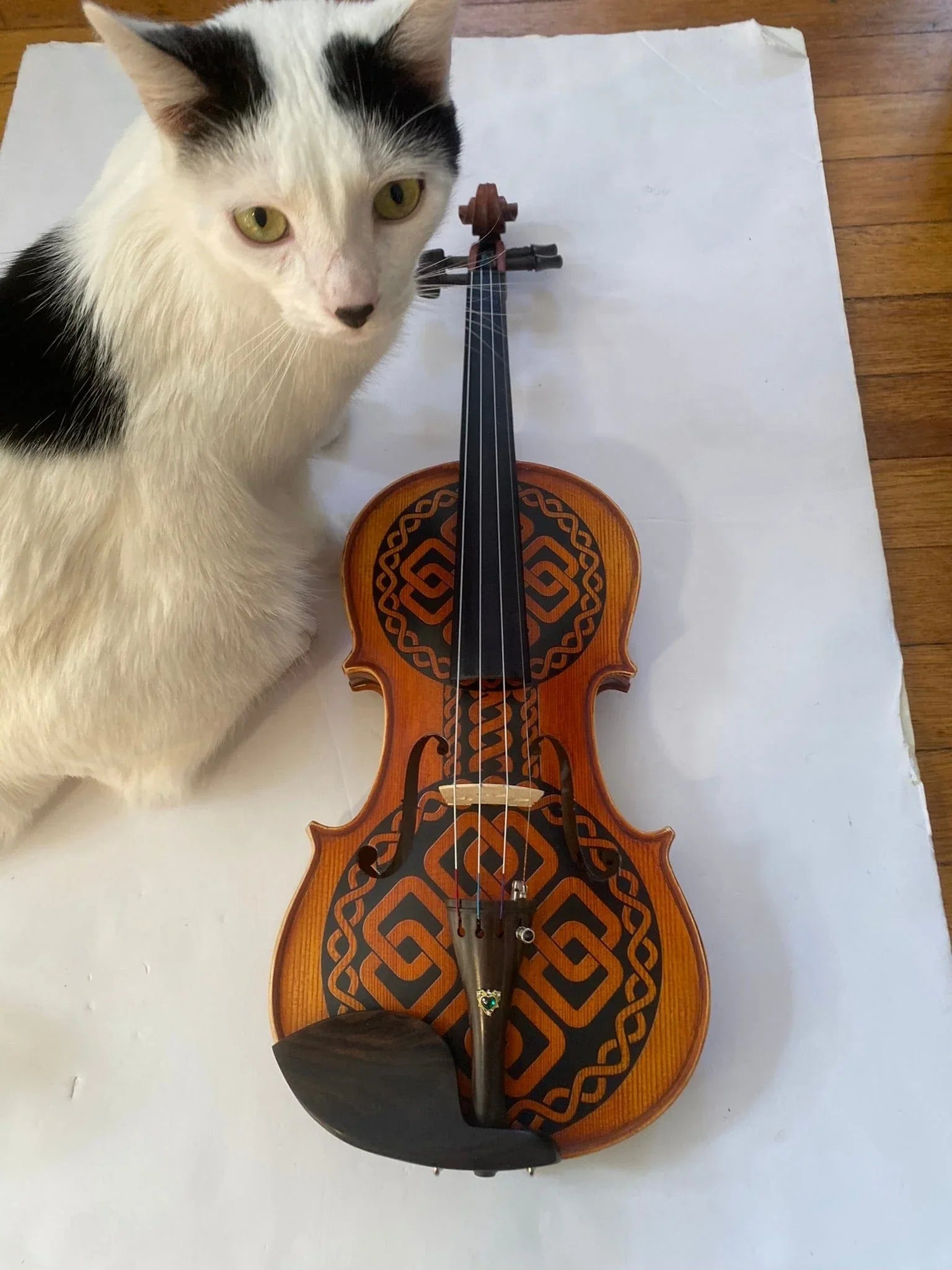 Rozanna's Celtic Love Violin Outfit