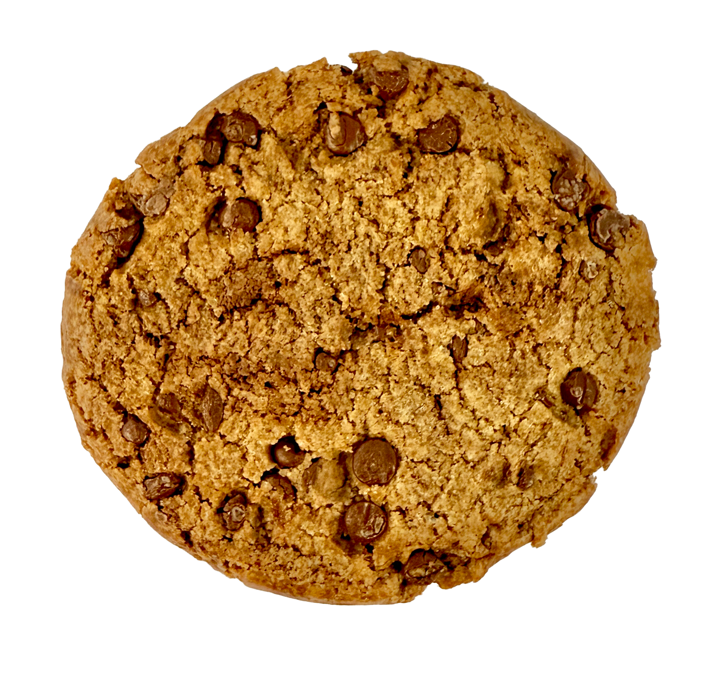 Vegan Chocolate Chip Cookie - 12 pack